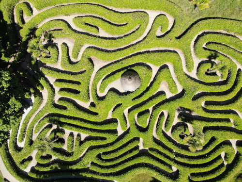 Advice & IT Consulting